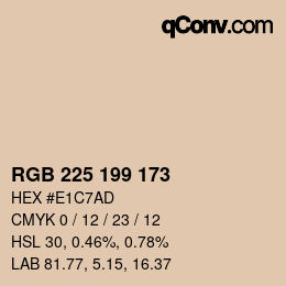 Color code: RGB 225 199 173 | qconv.com