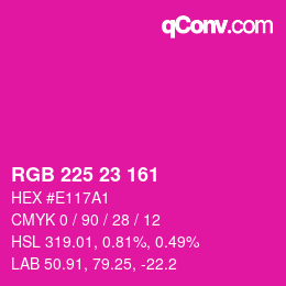 Color code: RGB 225 23 161 | qconv.com