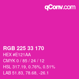 Color code: RGB 225 33 170 | qconv.com