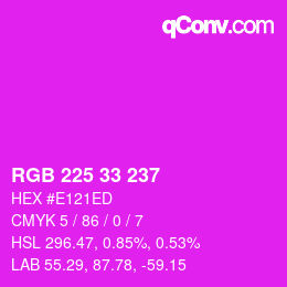 Color code: RGB 225 33 237 | qconv.com
