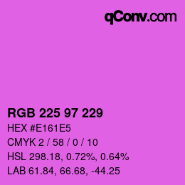 Color code: RGB 225 97 229 | qconv.com