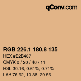Color code: RGB 226.1 180.8 135 | qconv.com