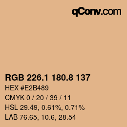 Color code: RGB 226.1 180.8 137 | qconv.com