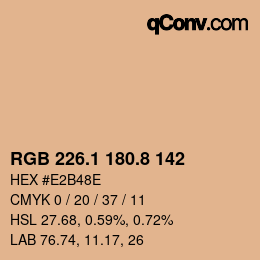 Color code: RGB 226.1 180.8 142 | qconv.com