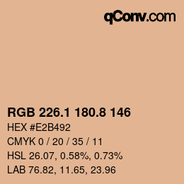 Color code: RGB 226.1 180.8 146 | qconv.com