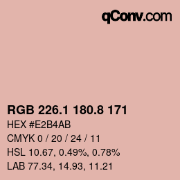 Color code: RGB 226.1 180.8 171 | qconv.com