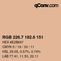 カラーコード: RGB 226.7 182.6 151 | qconv.com