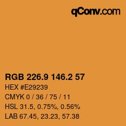 Color code: RGB 226.9 146.2 57 | qconv.com