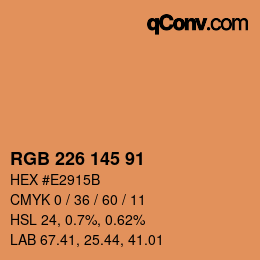 Color code: RGB 226 145 91 | qconv.com