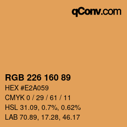 Color code: RGB 226 160 89 | qconv.com