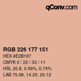 Color code: RGB 226 177 151 | qconv.com