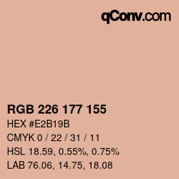 Color code: RGB 226 177 155 | qconv.com