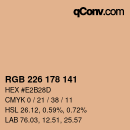 Color code: RGB 226 178 141 | qconv.com