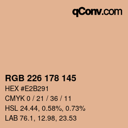 Color code: RGB 226 178 145 | qconv.com