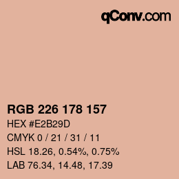 颜色代码: RGB 226 178 157 | qconv.com