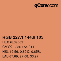 Farbcode: RGB 227.1 144.8 105 | qconv.com