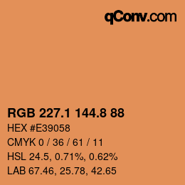 Color code: RGB 227.1 144.8 88 | qconv.com