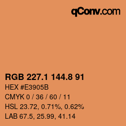 Color code: RGB 227.1 144.8 91 | qconv.com