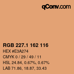 Color code: RGB 227.1 162 116 | qconv.com