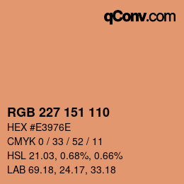 Color code: RGB 227 151 110 | qconv.com