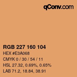 Color code: RGB 227 160 104 | qconv.com
