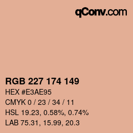 Color code: RGB 227 174 149 | qconv.com