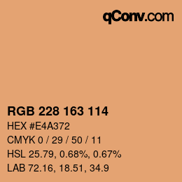 カラーコード: RGB 228 163 114 | qconv.com