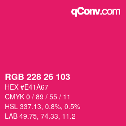 Color code: RGB 228 26 103 | qconv.com