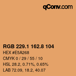 Color code: RGB 229.1 162.8 104 | qconv.com