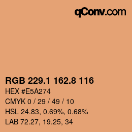 Color code: RGB 229.1 162.8 116 | qconv.com