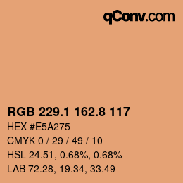 Color code: RGB 229.1 162.8 117 | qconv.com