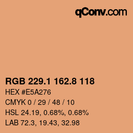 Color code: RGB 229.1 162.8 118 | qconv.com