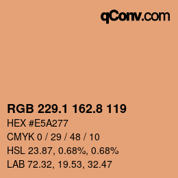 Color code: RGB 229.1 162.8 119 | qconv.com