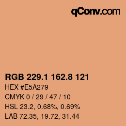 Color code: RGB 229.1 162.8 121 | qconv.com