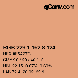 Color code: RGB 229.1 162.8 124 | qconv.com