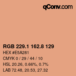 Color code: RGB 229.1 162.8 129 | qconv.com