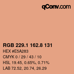 Color code: RGB 229.1 162.8 131 | qconv.com