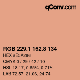 Color code: RGB 229.1 162.8 134 | qconv.com