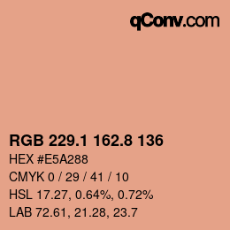 Color code: RGB 229.1 162.8 136 | qconv.com