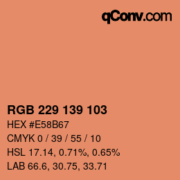 Color code: RGB 229 139 103 | qconv.com