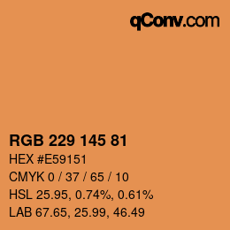 Color code: RGB 229 145 81 | qconv.com