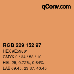 カラーコード: RGB 229 152 97 | qconv.com