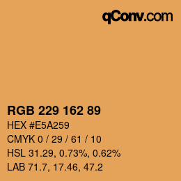 カラーコード: RGB 229 162 89 | qconv.com