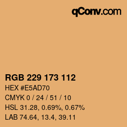 Color code: RGB 229 173 112 | qconv.com