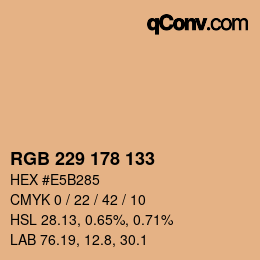 Color code: RGB 229 178 133 | qconv.com
