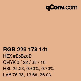 Color code: RGB 229 178 141 | qconv.com