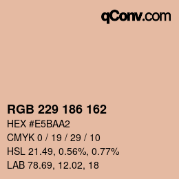 Color code: RGB 229 186 162 | qconv.com