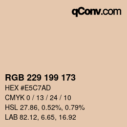 Color code: RGB 229 199 173 | qconv.com