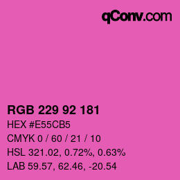 Color code: RGB 229 92 181 | qconv.com