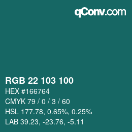 Color code: RGB 22 103 100 | qconv.com